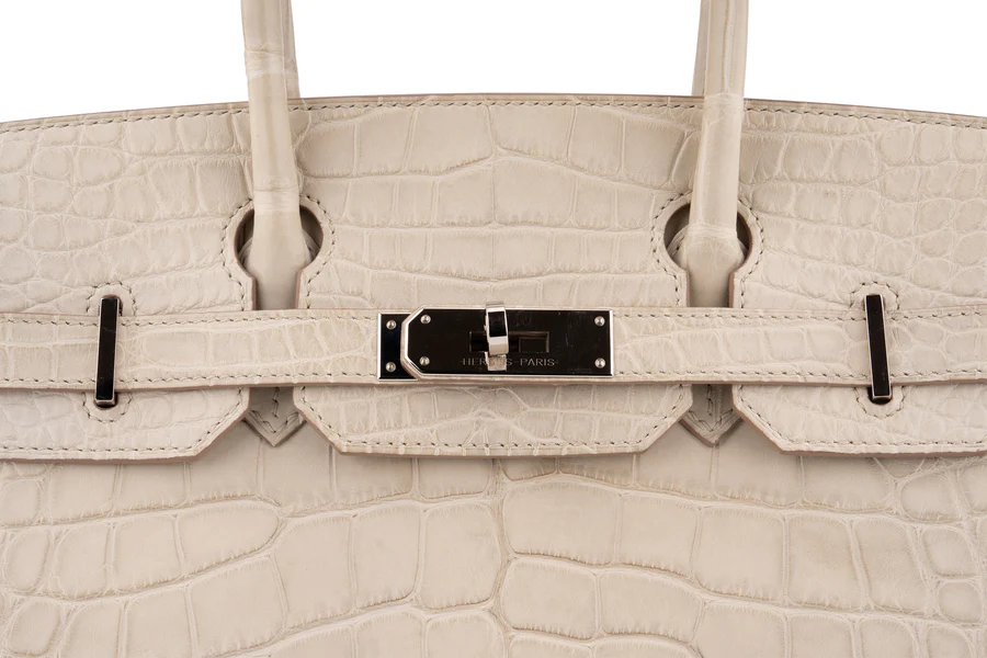 Hermès Birkin 30 Croc Beton PHW - Image 6