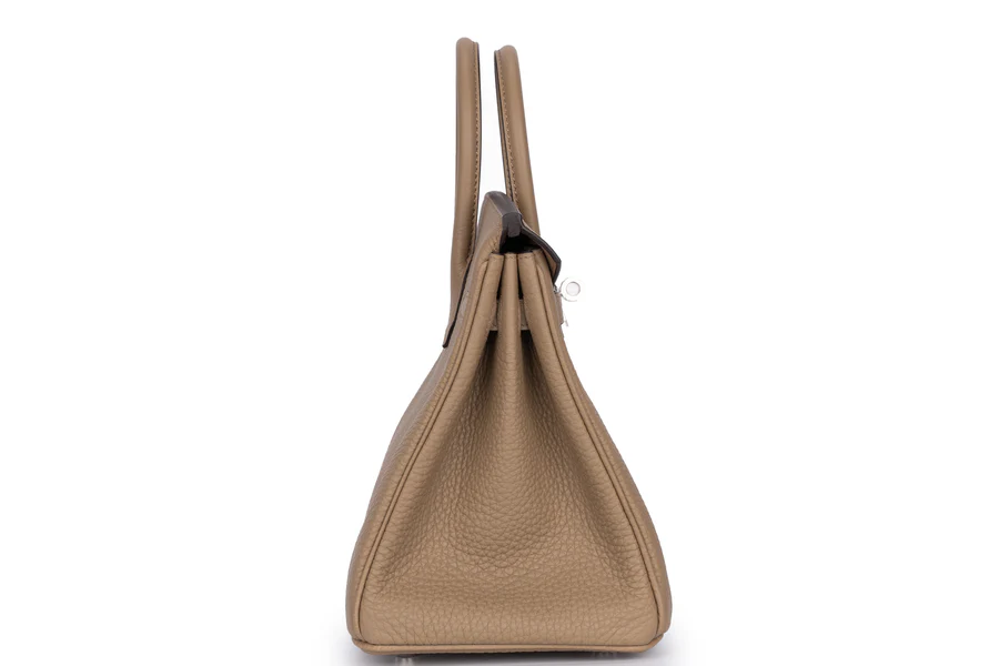 Hermès Birkin 25 Togo Beige Marfa PHW - Image 5