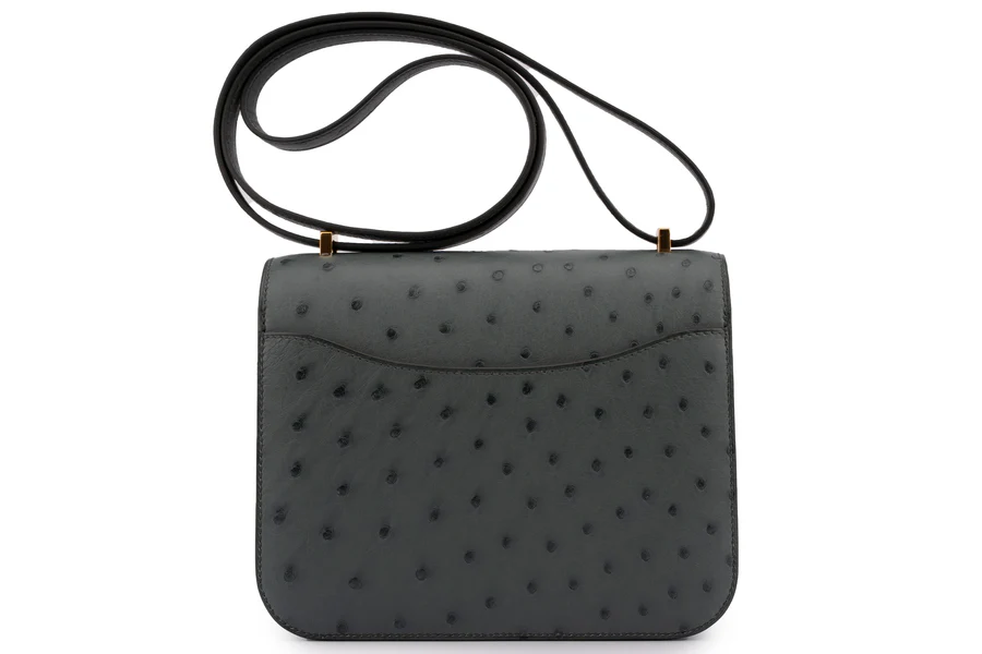 Hermès Constance 18 Exotic Ostrich Vert Amande GHW - Image 4